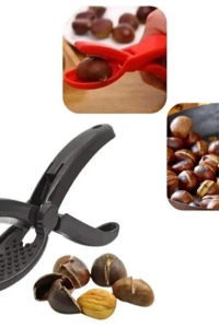 Plastik Kestane Çizeceği