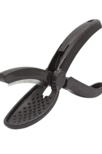 Plastik Kestane Çizeceği