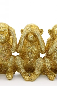 Polyester 3 Maymun  - Görmedim Duymadım Bilmiyorum