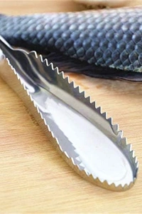 Pratik Balık Pulu Kazıyıcı Aparat