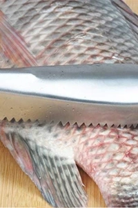 Pratik Balık Pulu Kazıyıcı Aparat