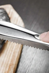 Pratik Balık Pulu Kazıyıcı Aparat