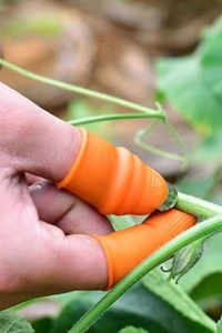 Pratik Baş Parmak Sebze Kesme Ayıklayıcı Erkek L Set