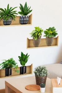 Raflı Bitki Tasarımlı Yapışkanlı Sticker 20*30 cm 3lü Set