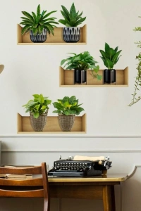 Raflı Bitki Tasarımlı Yapışkanlı Sticker 20*30 cm 3lü Set