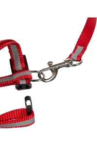 Reflektörlü Kedi Gezdirme Tasması