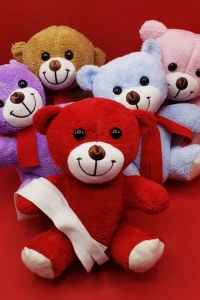 Renkli Peluş Ayıcık