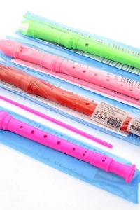 Renkli Plastik Flüt