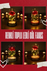 Renkli Toplu Ledli Gül Fanus