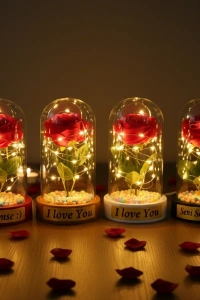 Renkli Toplu Ledli Gül Fanus