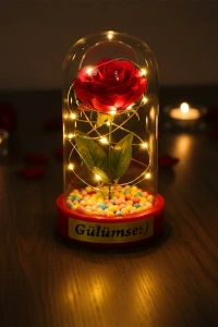 Renkli Toplu Ledli Gül Fanus