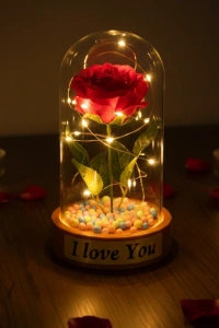 Renkli Toplu Ledli Gül Fanus