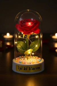 Renkli Toplu Ledli Gül Fanus