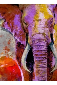 Safari Canvas Tablo (50x70)