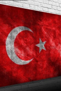 Şanlı Türk Bayrağımız Kanvas Tablo 50 x 70