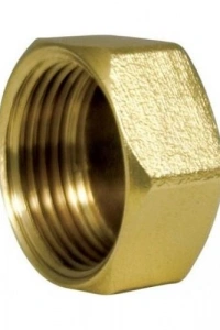 Sarı Manşon Körtapa 1