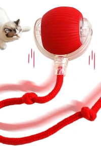 Şarjlı Kedi Oyuncağı