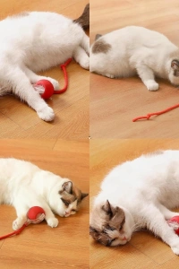 Şarjlı Kedi Oyuncağı