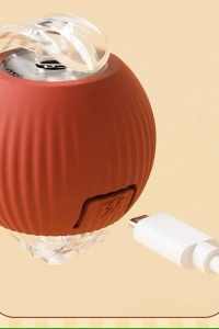 Şarjlı Kedi Oyuncağı