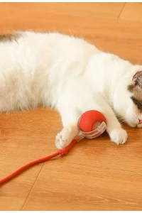 Şarjlı Kedi Oyuncağı