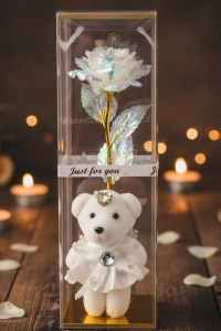 Şeffaf Kutulu Ayıcıklı Sonsuzluk Gülü