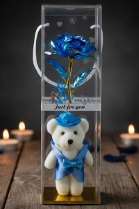 Şeffaf Kutulu Ayıcıklı Sonsuzluk Gülü