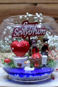 Seni Seviyorum Teraryum
