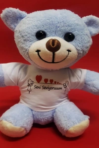 Seni Seviyorum Tişörtlü Peluş Ayıcık