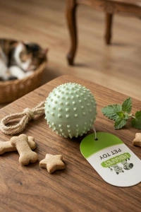 Sesli Dikenli Evcil Hayvan Oyuncak Topu