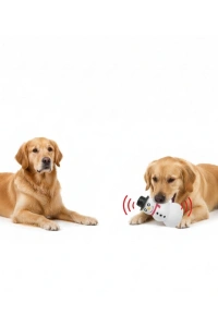 Sesli Kardan Adam Tasarımlı Oyuncak