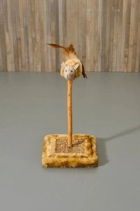 Sesli Oyuncaklı Kedi Tırmalama Tahtası