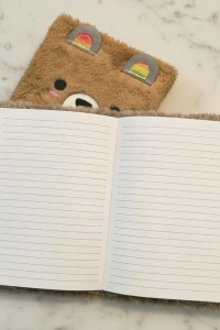 Sevimli Ayıcık Peluş Çizgili Defter