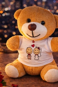 Sevimli Gelin Damat Tişörtlü Peluş Ayıcık