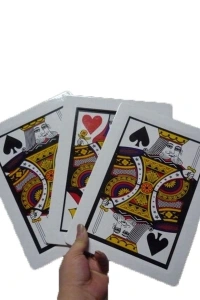 Sihirbaz Kartları 3 Kart