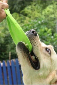 Silikon Frizbi Köpek Oyuncağı