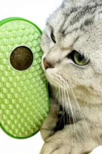 Silikon Kaşıyıcılı Kedi Otu