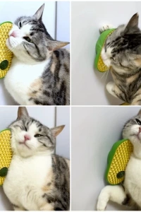 Silikon Kaşıyıcılı Kedi Otu