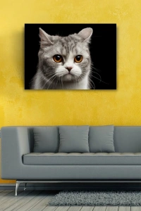 Şirin Gri Kedi Kanvas Tablo 50 x 70