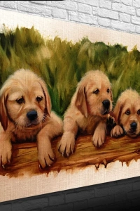 Şirin Yavru Köpekler Yağlıboya Kanvas Tablo 50 x 70