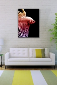 Siyah Fonda Kırmızı Balık Kanvas Tablo 50 x 70