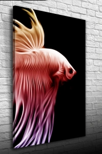 Siyah Fonda Kırmızı Balık Kanvas Tablo 50 x 70
