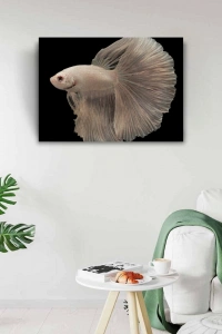 Siyam Balığı Kanvas Tablo 50 x 70