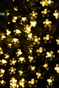 Solar 5m 50 Led Papatya Gün Işığı 8 Fonksiyonlu