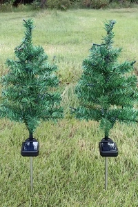 Solar Dekoratif Çam Ağacı