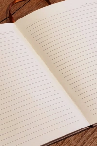 Somon Rengi Desenli Deri Defter