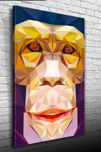 Soyut Maymun Figürü Kanvas Tablo 50 x 70