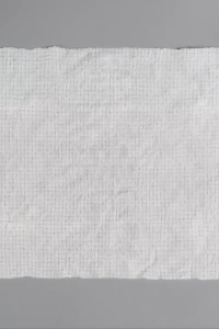 Suda Büyüyen Sıkıştırılmış Mendil 20 Adet