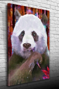 Suluboya Tekniğinde Panda Görseli Kanvas Tablo 50 x 70