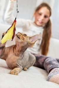 Teleskopik Zilli Ve Tüylü Kedi Oyuncağı