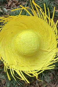 Tropikal Parti Sarı Hasır Hawaii Şapkası